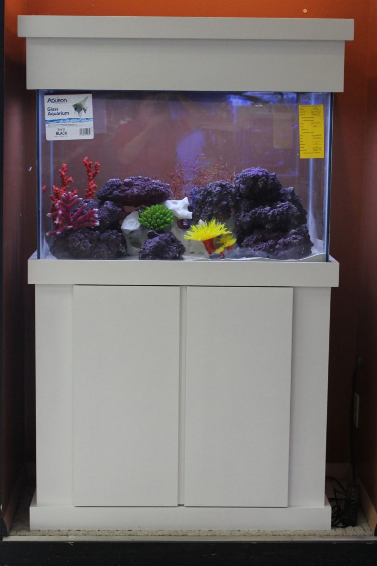 marine aquarium warehouse marine aquarium warehouse