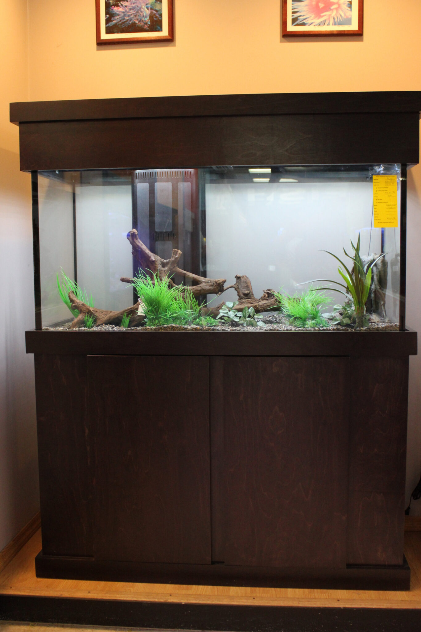 Aquarium stand and best sale canopy