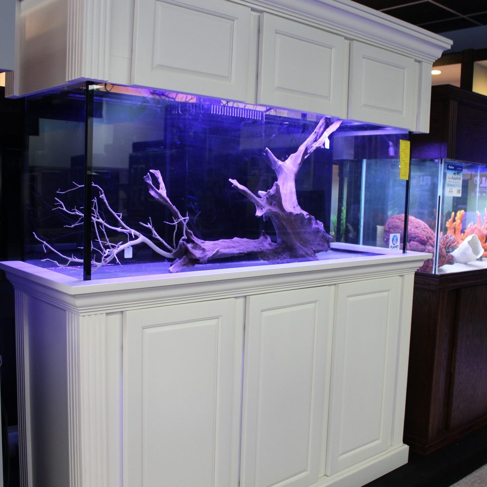 marine aquarium warehouse